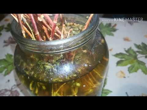 Чем заменить Виагру, аналоги и эффективные природные.
