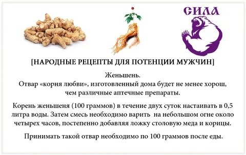 Как повысить потенцию у мужчин естественными способами