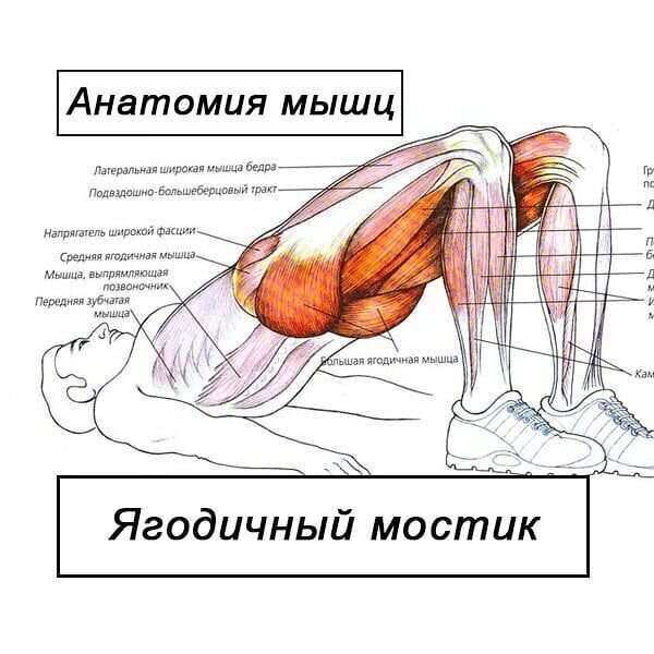 Интервью с андрологом Преждевременная эякуляция.