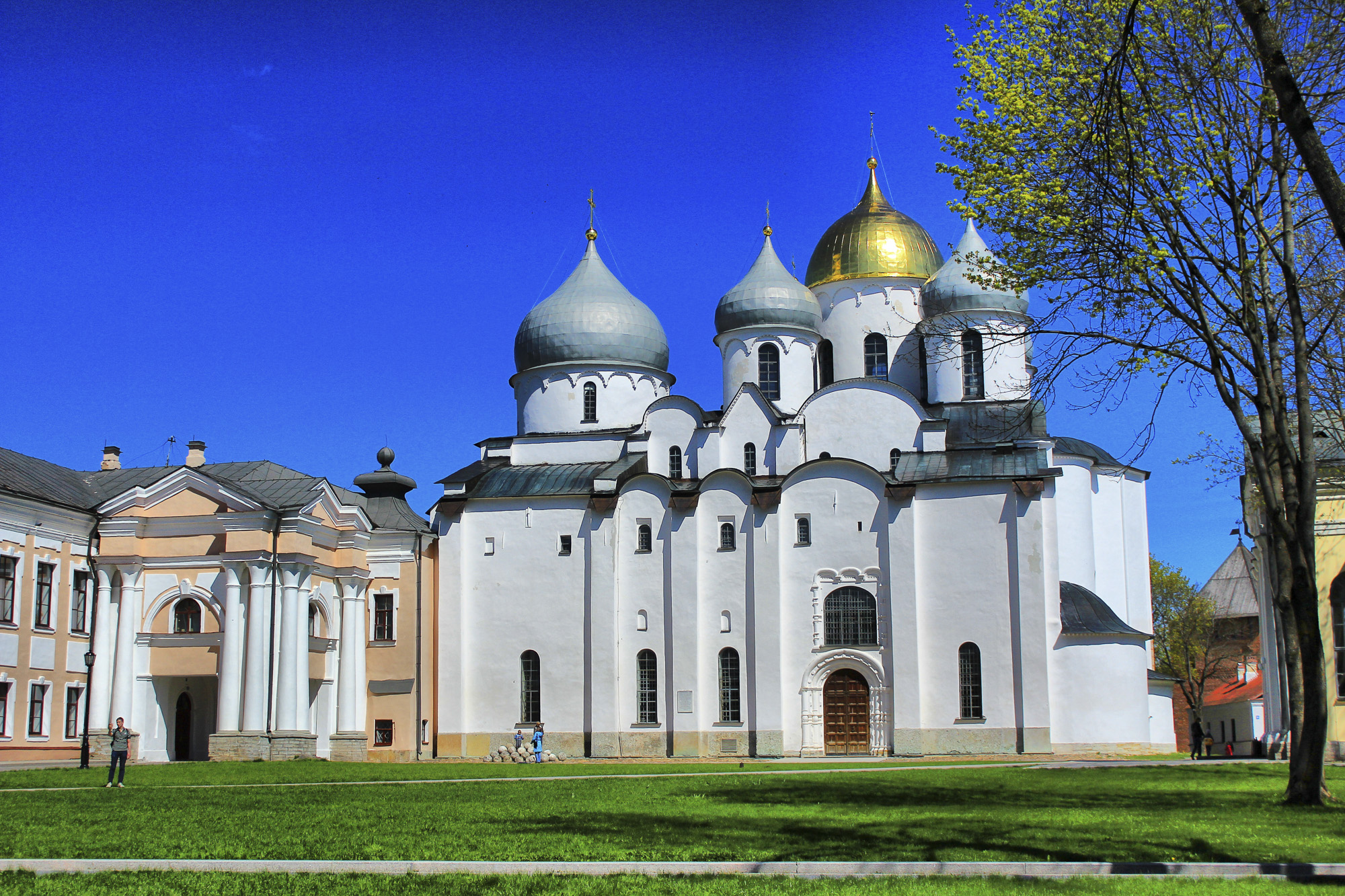 Таблетки Виагра в аптеках Великого Новгорода - Мегаптека