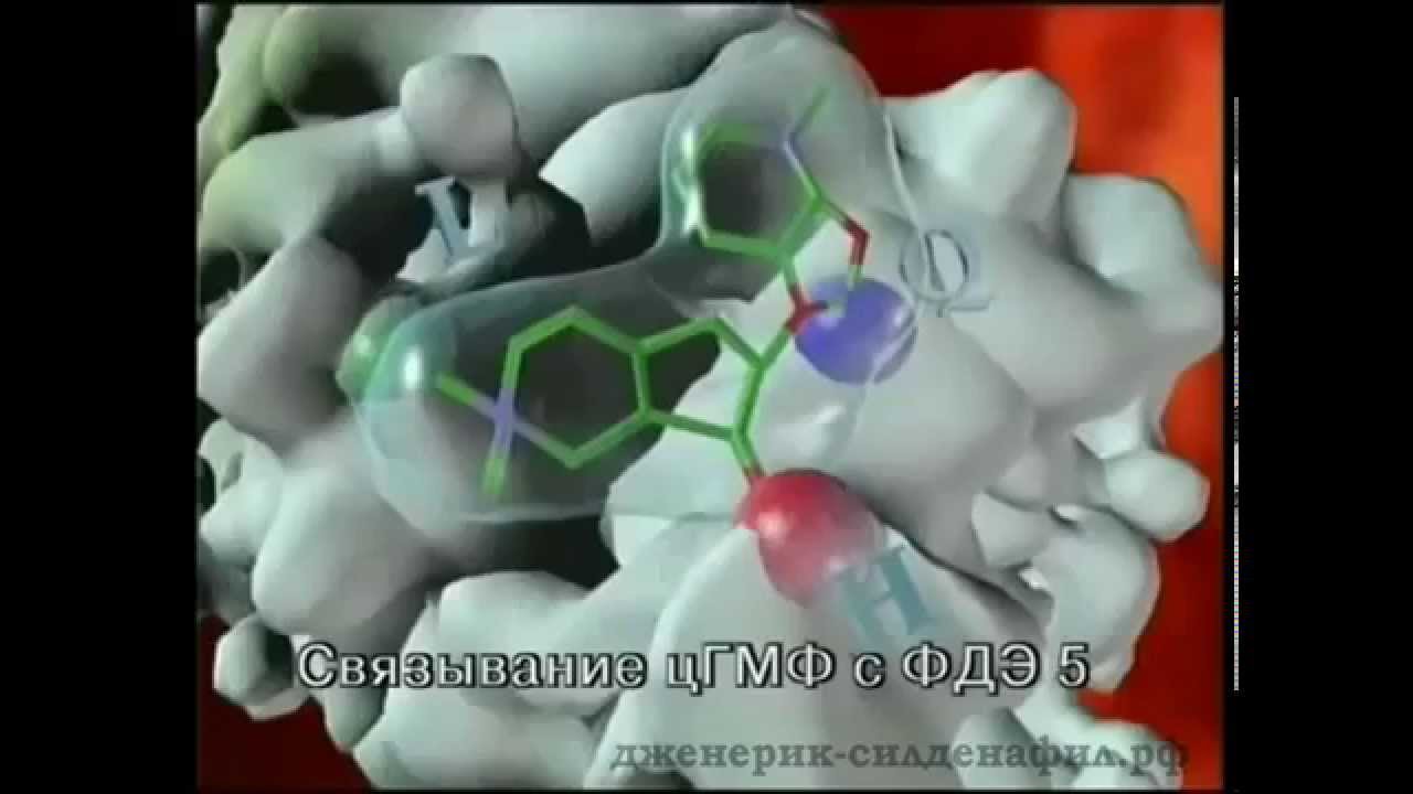 Что лучше Сиалис Cialis, Виагра Viagra, Левитра Levitra или.