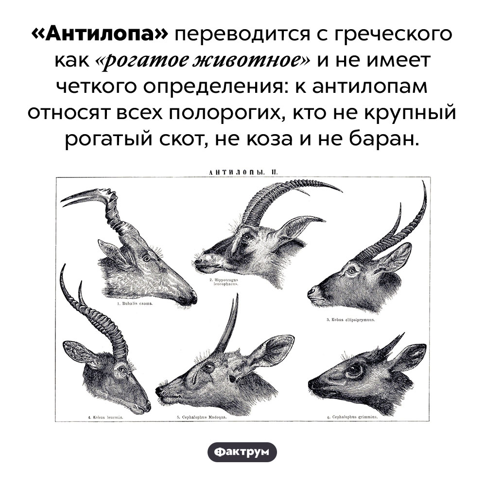 Хранение и публикация учебных и учебно-тематических.