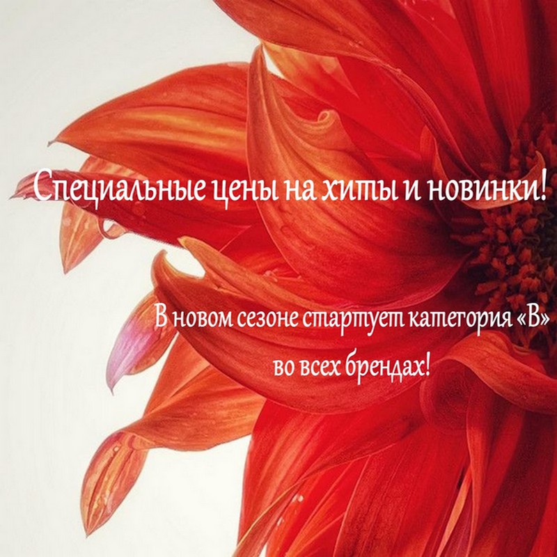 Изменения в ценовой политике компании