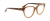 Оправа Trussardi TSW6006, T01