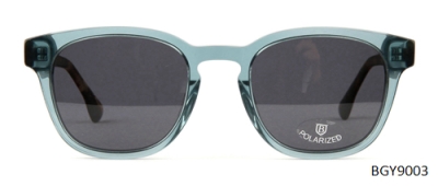 BGY9003A01P