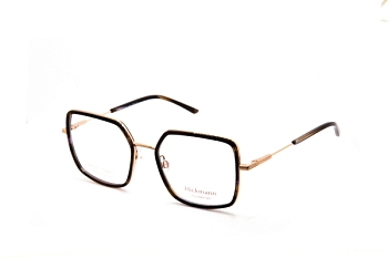 HIY1008E02