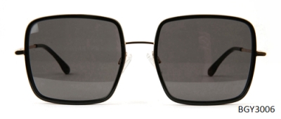 BGY3006A01