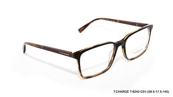T6242C01