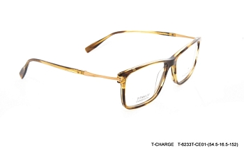 T6233TE01